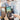 EDA004673939B_4.jpg@c2931da01aee306cf8e96015c1cd7d4e