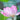 SYA001994004_B4.jpg@da7f84ef2b2e6af90adcbd3f1685f09e