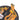 EDA005702803_5.jpg@654874dfb3beddf72c497e2670564ec6