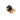 S-SP-0472_3.jpg@e4b5e51672b7c5db0261f32d9ab555b6