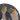 SPS6960_4.jpg@8287a49df7b20d402f01822719bdfe59