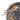 WSP0429S_5.jpg@eaa1b97ae2fd61cdd2de19352170eb5d